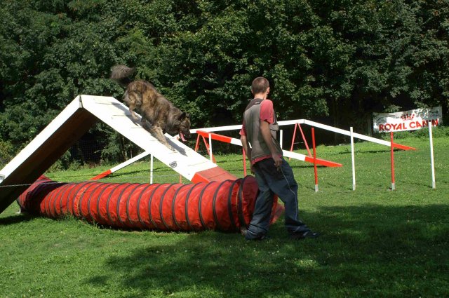 agility 2011-08